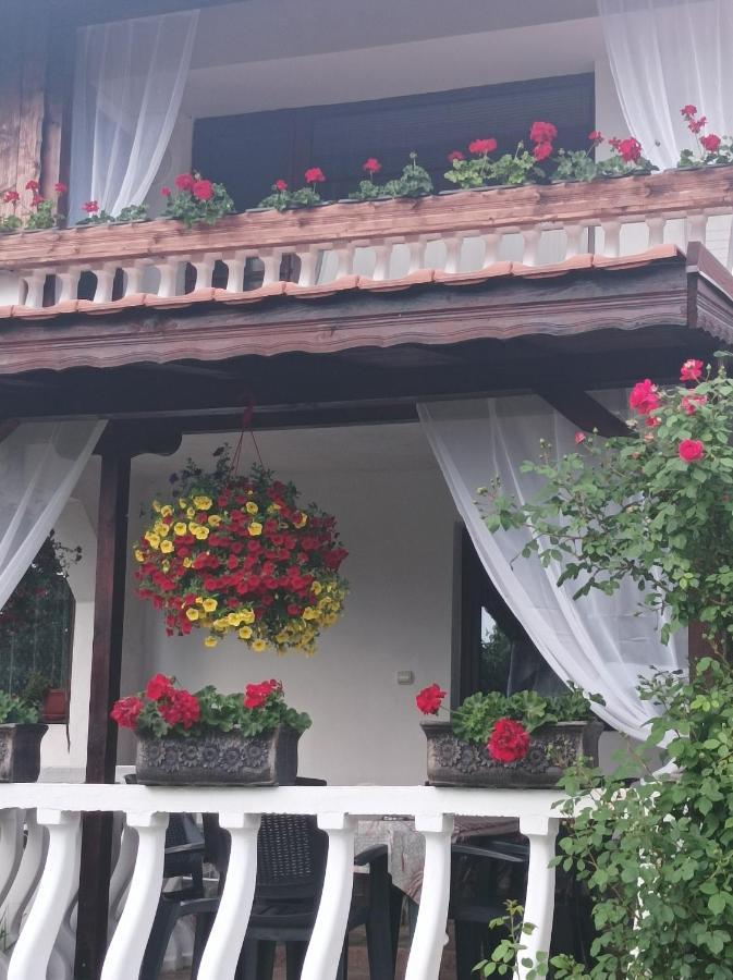 Guesthouse Dida Sapareva Bania Exterior foto